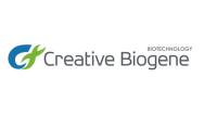 Creative Biogene image 1